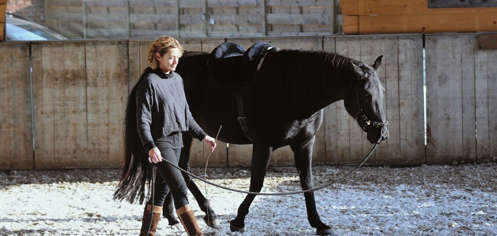 Leading and Circling [BASIS]