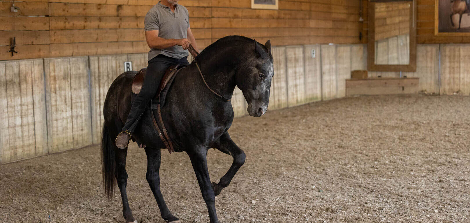 Neck Rein® met een vrij hoofd