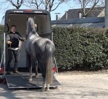 Trailerladen Opleiding