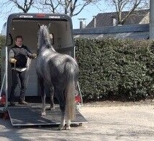 Trailerladen Opleiding