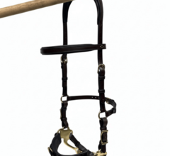 Cavemore van Jossy Reynvoet®