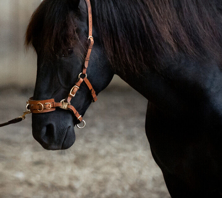 Basic Leading position