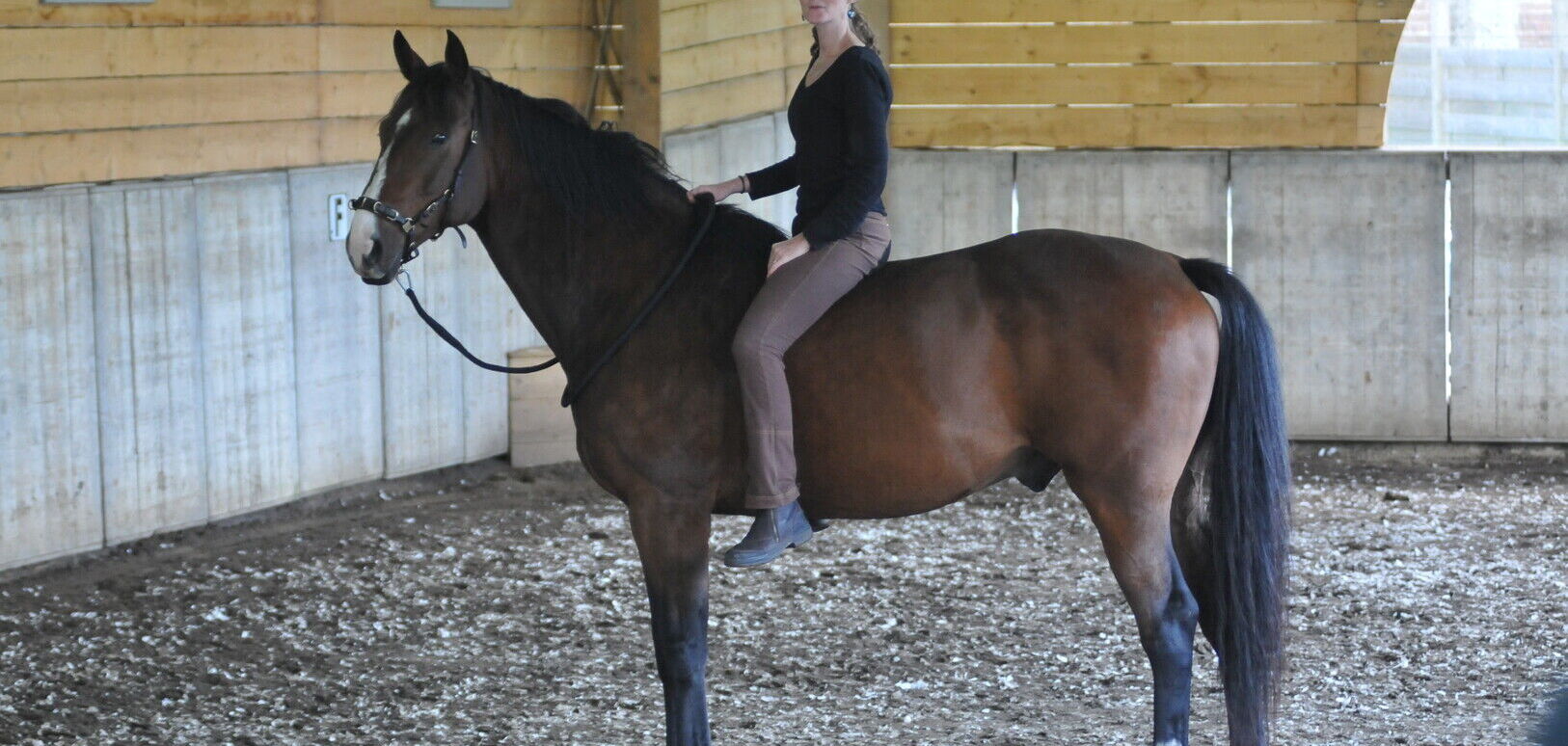 First Riding [FYSIEK]