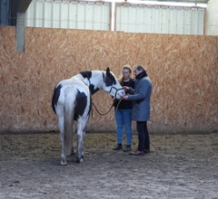 Lesdag op jouw locatie