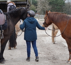 Mini Kempen workshop als ruiter 14&15/10/23 en 09&10/12/23