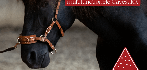 Kerst korting op onze Cavesal®!