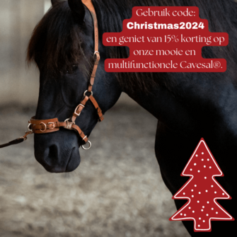 Kerst korting op onze Cavesal®!