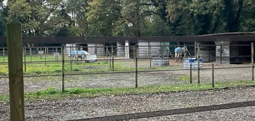 Mini Kempen workshop 05&06-12-26