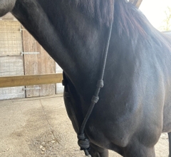 Handgemaakte Longeer Halsring