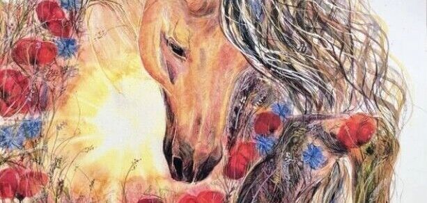 Een impressie van de weekend clinic met Bent Branderup (2023)