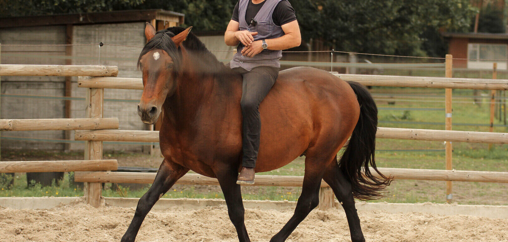 Basic Riding                      [FYSIEK]