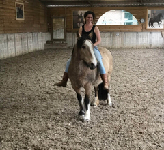 Lesdag op de Bornehoeve als RUITER 28-02-26