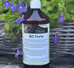 Rokale BC Forte