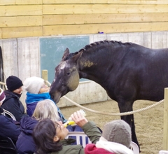 Open Training op de Bornehoeve