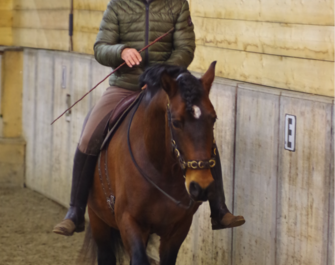 First Riding [FYSIEK]