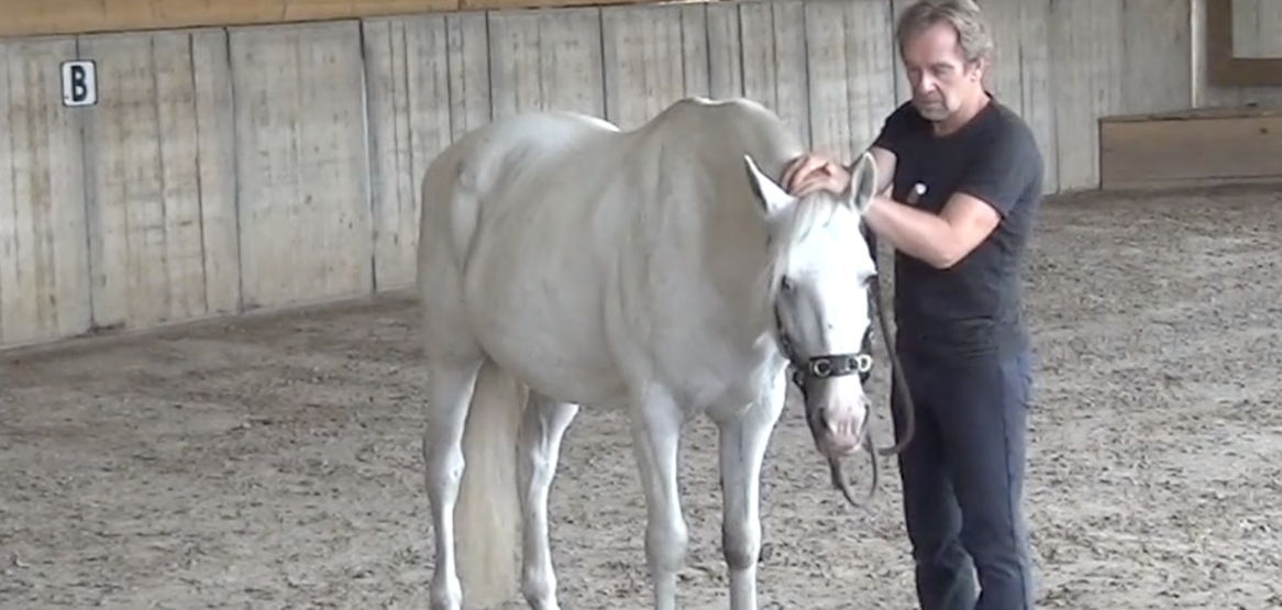 Physical Communication [BASIS]