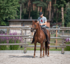 Lesdag op de Bornehoeve als ruiter: 09-09-23 / 04-11-23