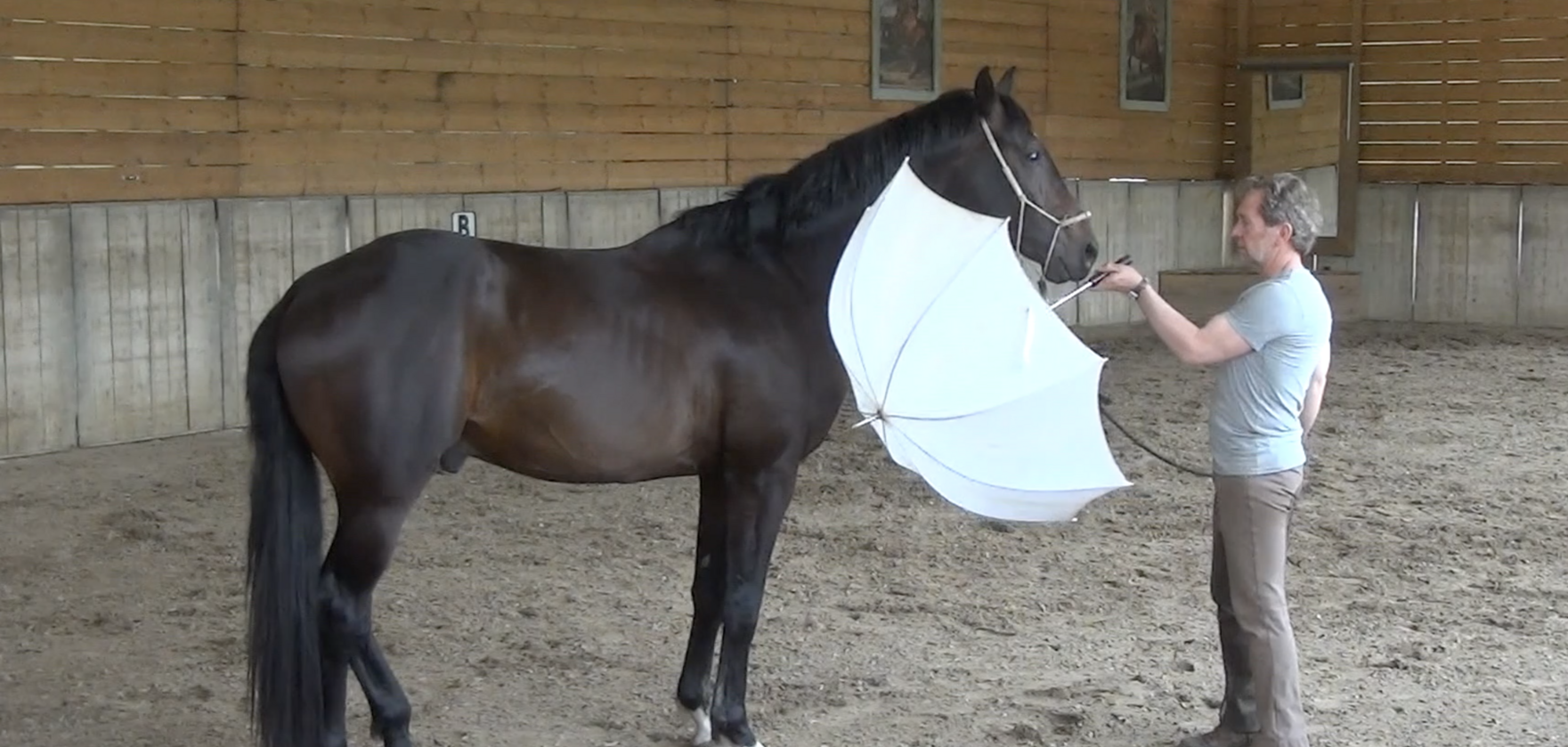 Desensitising Part 1 [BASIS]