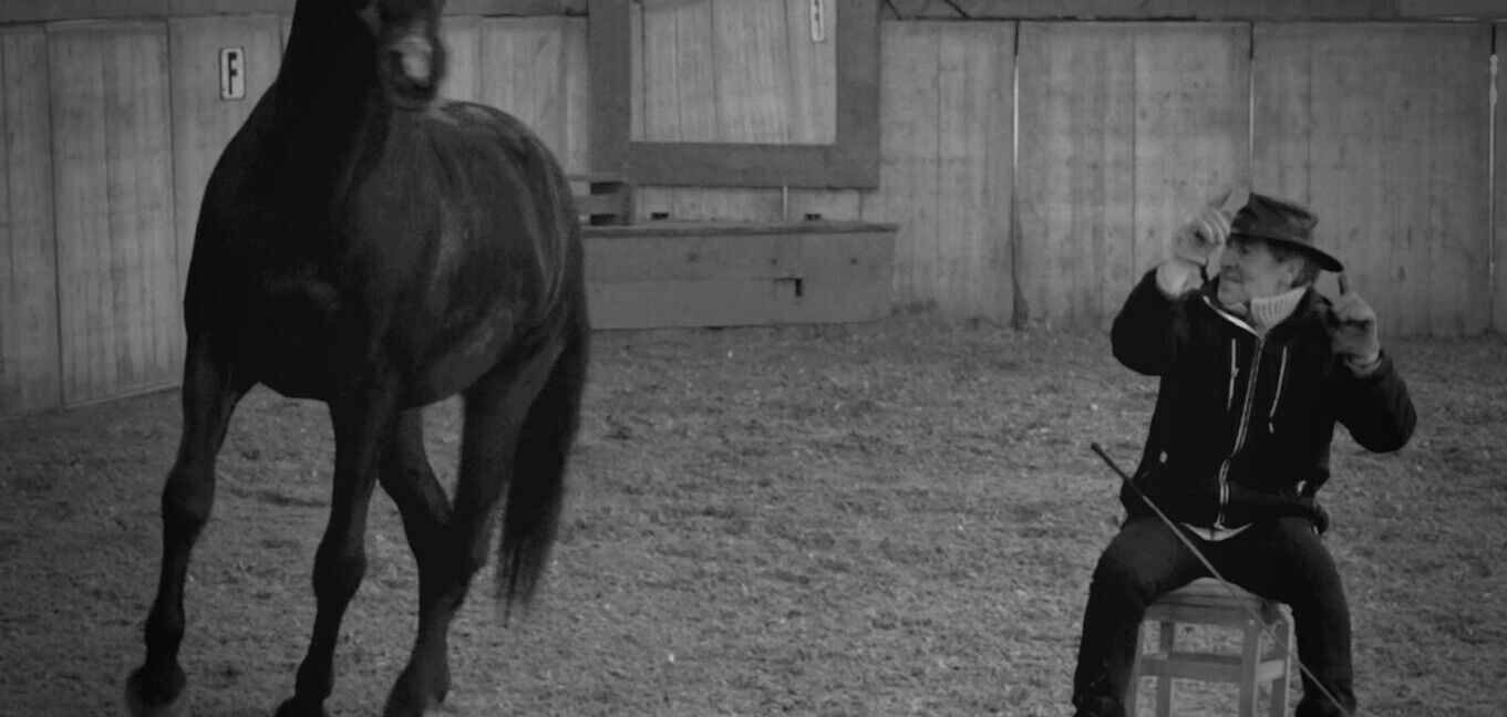 My once-in-a-lifetime horse