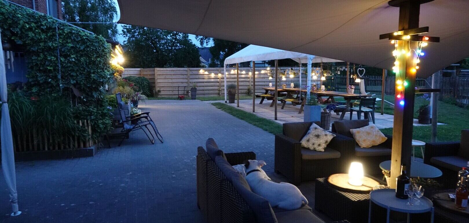 Zomer Kempen Workshop Juli 2026 ** 5 plaatsen vrij **